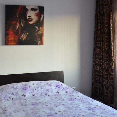 Vila Cu Trandafiri Cozy Apartments 2 Camere Bragadiru 외부 사진