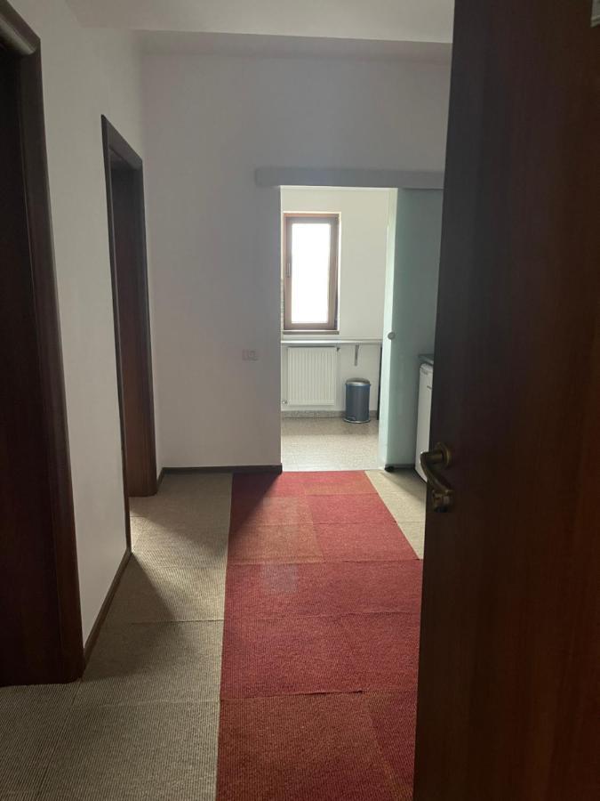 Vila Cu Trandafiri Cozy Apartments 2 Camere Bragadiru 외부 사진